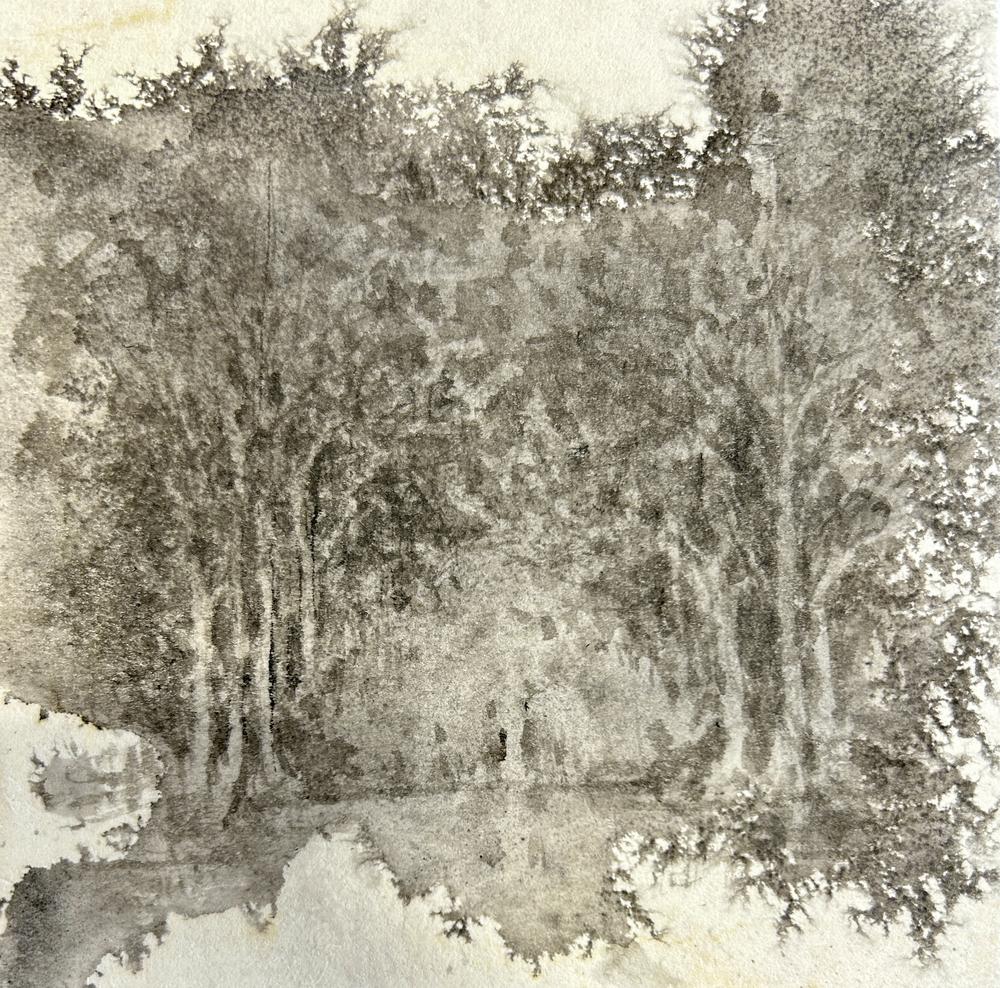 Through the Forest 1, 2024, Fumiyo Yoshikawa