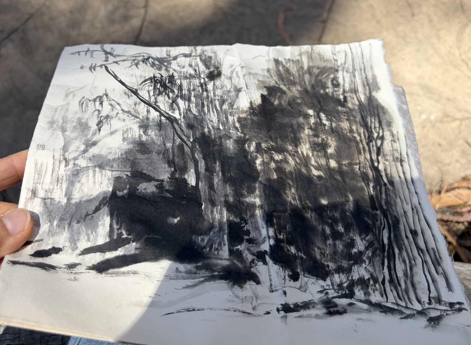 Creekside Park field sketch, sumi ink, 2026, Fumiyo Yoshikawa