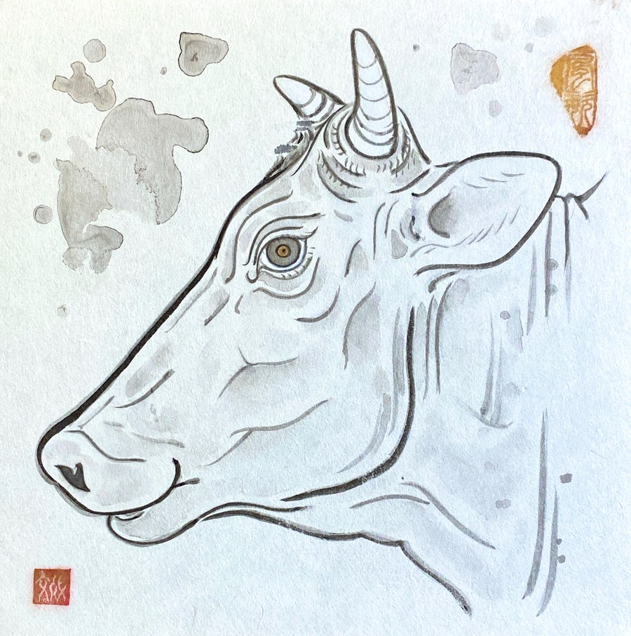 Every Life Matters 2 — The Holy Cow, 2021
