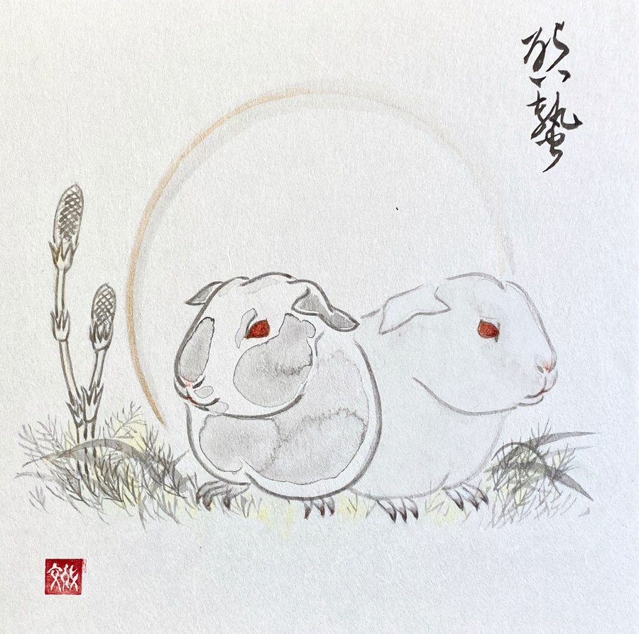 Every Life Matters 3 — Spring Coming Out, 2021
